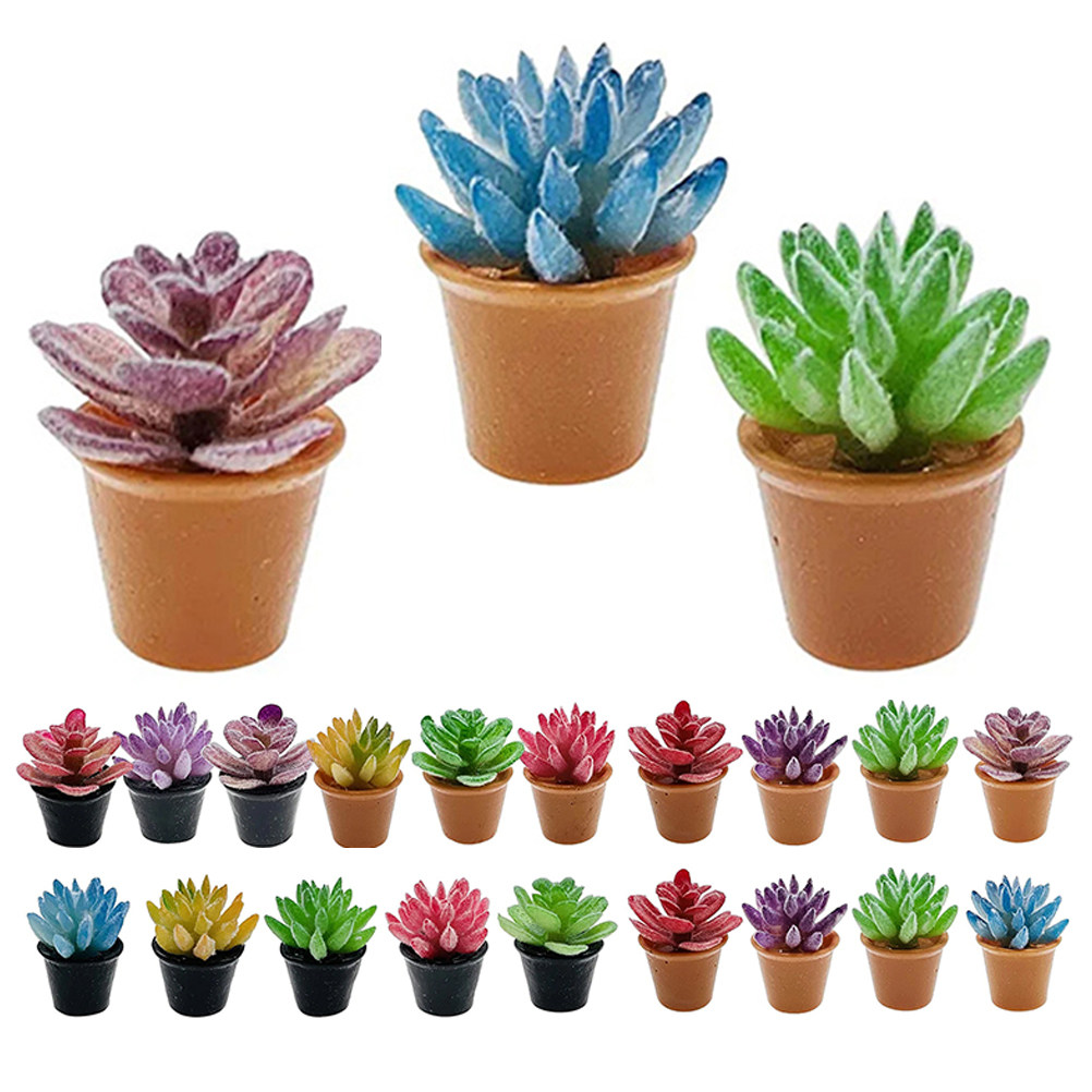 Desk Setup With Plants - 24 macetas pequeñas para suculentas, suculentas