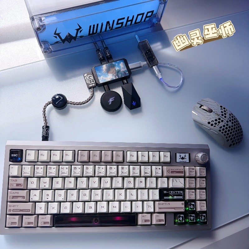 WINSHOP Esports HUB, Hub USB D - Desk Setup Aesthetic reseña y precio